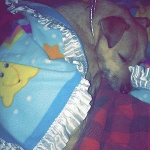 Meet your Posher, Emma